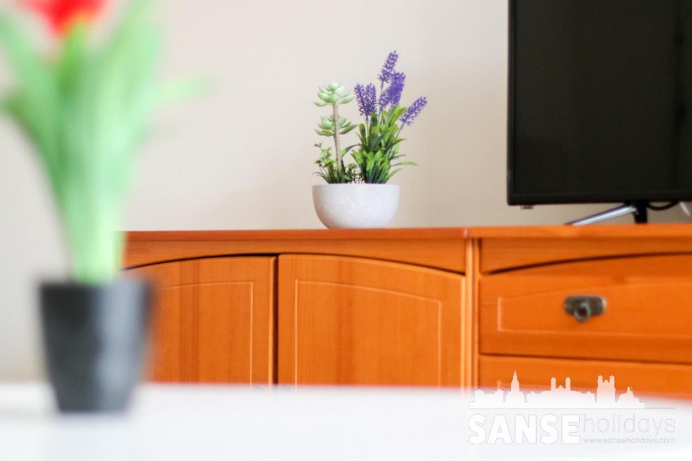Apartamento Colon By Sanse Holidays San Sebastian Buitenkant foto